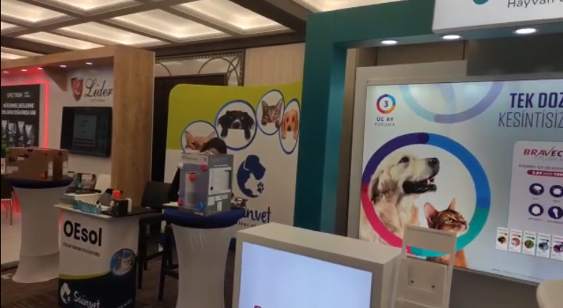 Saintvet Promotion 2